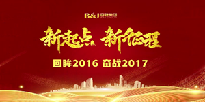 乐动平台app2016文化回顾片